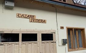 Cazare Iedera